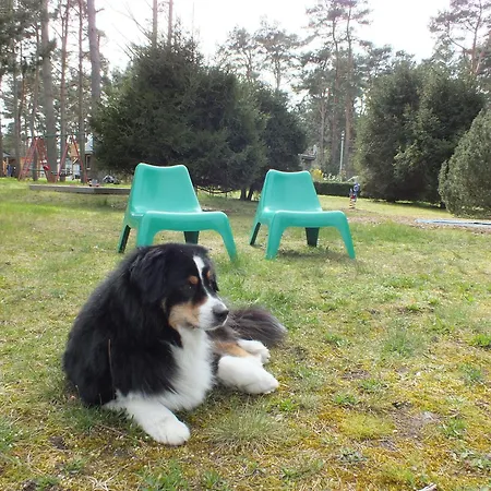 Zwei Bett * Pruchten